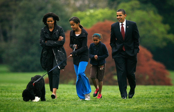 The Obama family dog Bo: The Obama family walk Bo on the South Lawn