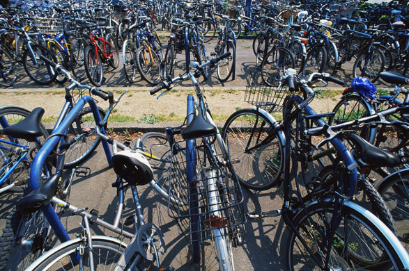 Week in business: Bicycles on a bike rack