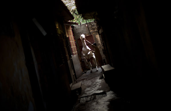 24 hours in pictures: A Pakistani man cleans his horse in Rawalpindi
