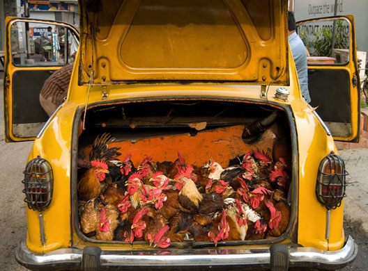 In Pictures: Invention: Ciara Leeming