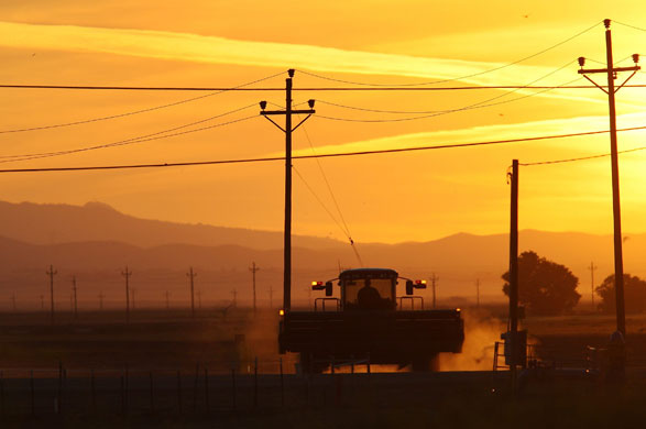 24 hours in pictures: Firebaugh, California, USA:  A farm tractor travels a dirt road.