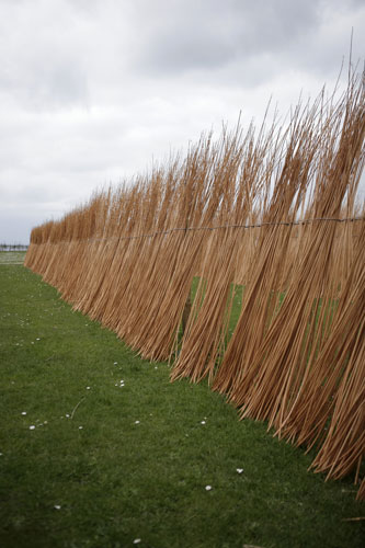 Basket making: PH Coates and Son: Willow rods