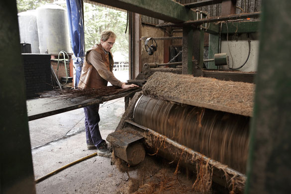 Basket making: PH Coates and Son: The machine that strips the bark from the willow