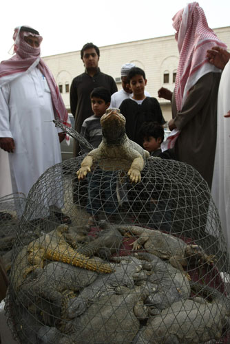 Week in Wildlife: Lizards are displayed for sale at the Birds Market in Riyadh