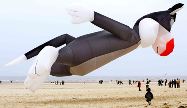 Eyewitness: Giant kite at the International Kite Festival