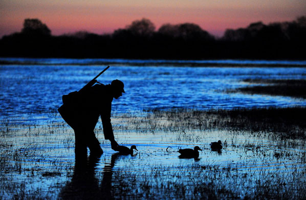 24 hours in pictures : Duck hunting in Belarus