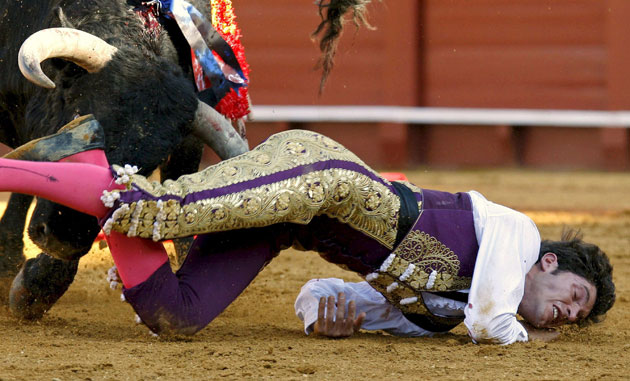 24sport: Spanish bullfighter Sergio Aguilar is gored