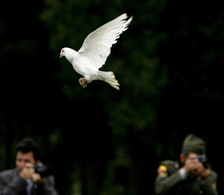 24 hours in pictures: A dove is released in Colombia 