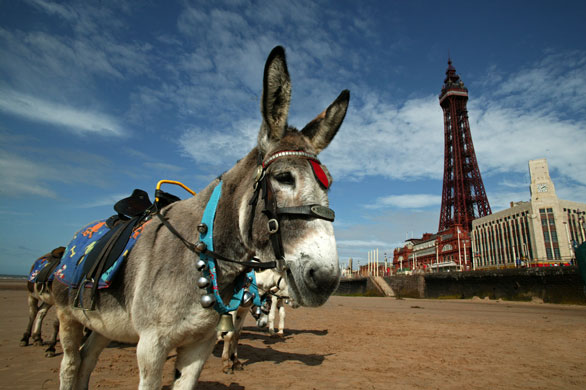 michael grade: Blackpool tower  