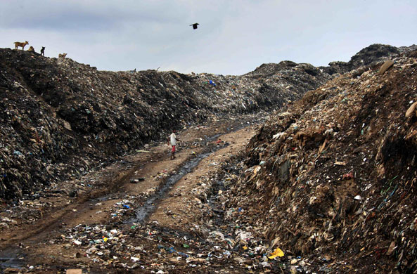 24 hours in pictures: Bloemendhal dump in central Colombo