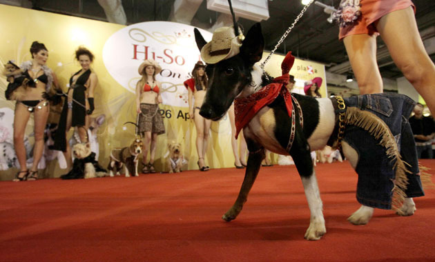 24 hours in pictures: Dog fashion show in Bangkok
