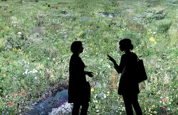 24 hours in pictures: Exhibition 'From flower picture to digital garden'