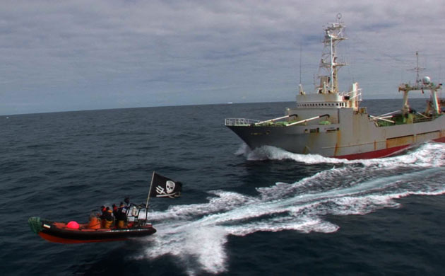 The Steve Irwin chases the Yushin Maru
