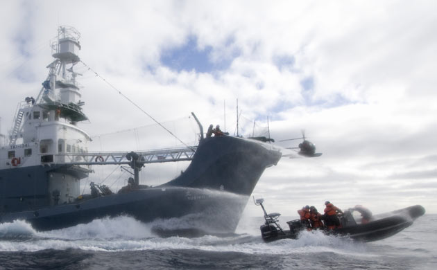 Sea Shepherd crew members are hosed by water cannons