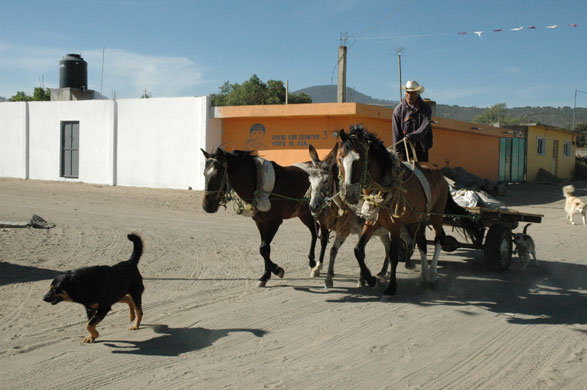 La Gloria village : La Gloria village where swine flu apparently originated