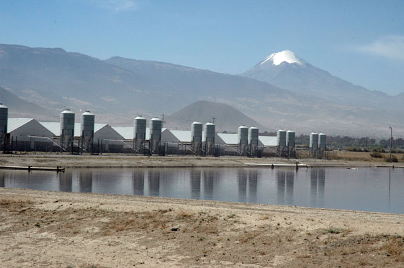 La Gloria village : La Gloria village where swine flu apparently originated