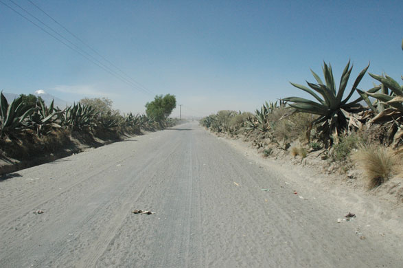 La Gloria village : La Gloria village where swine flu apparently originated