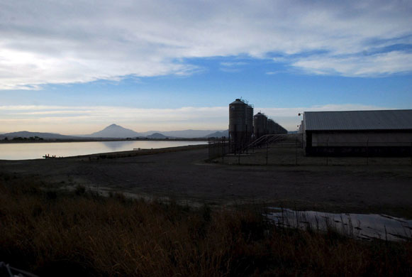 Swine flu La Gloria: Granjas Carroll of Mexico, in Perote, Veracruz, Mexico. 