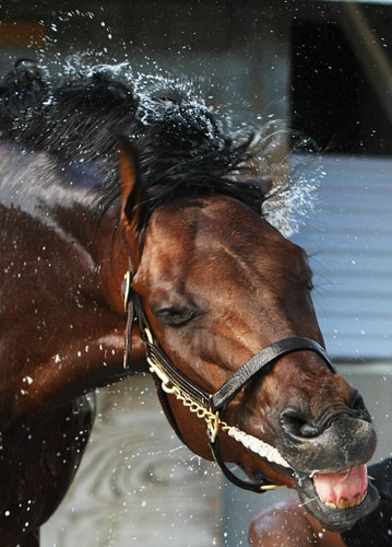 24sport: Kentucky Derby