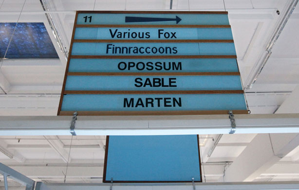 Week in Wildlife:  fur auction in Copenhagen