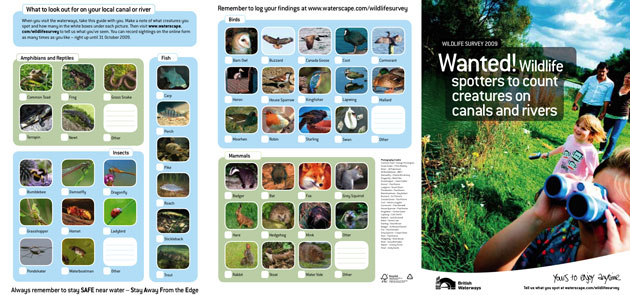 UK Native Bumblebees: British Waterways survey: