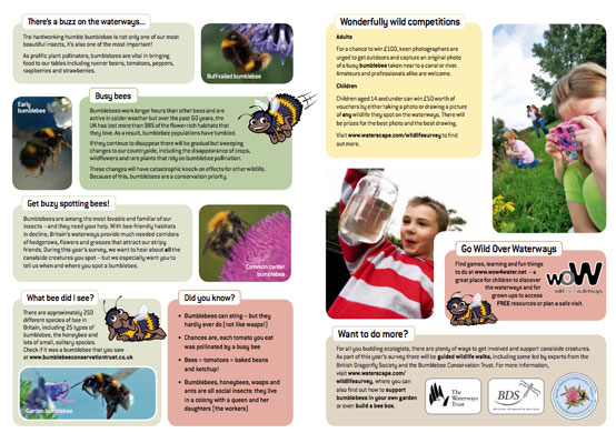 UK Native Bumblebees: British Waterways survey