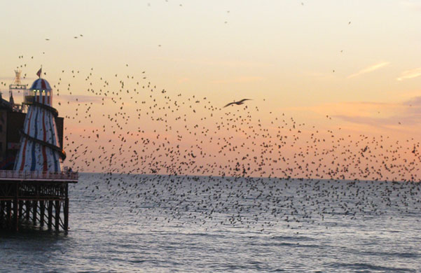 In pictures: Commuting: fran briscoe