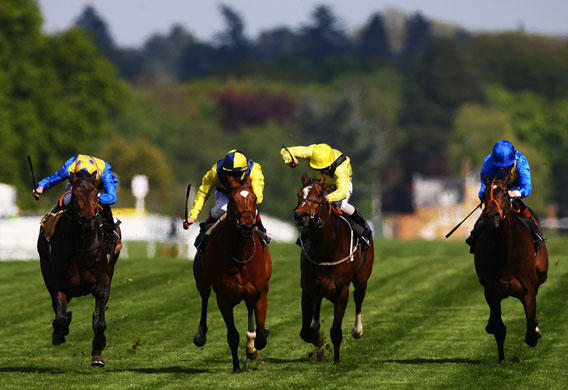 24sport: Ascot Races