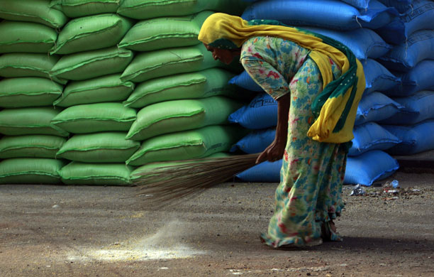 30 April 2009: Karachi, India: A woman sweeps for scraps of rice and lentils