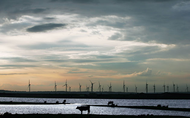 Week in Wildlife: Little Cheyne Court Wind Farm, Camber, Kent, Britain