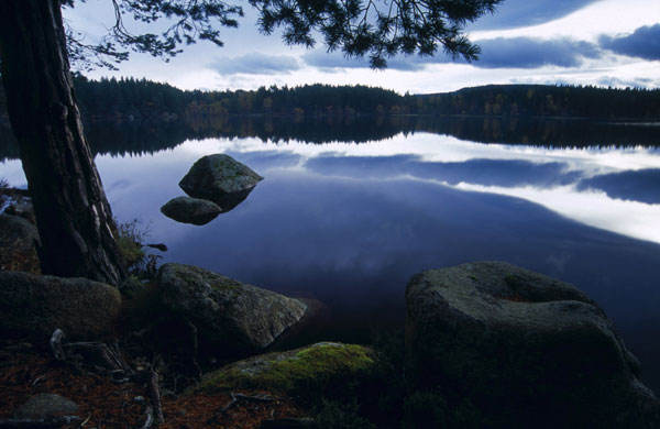 Seven wonders: Loch Garten, Scotland