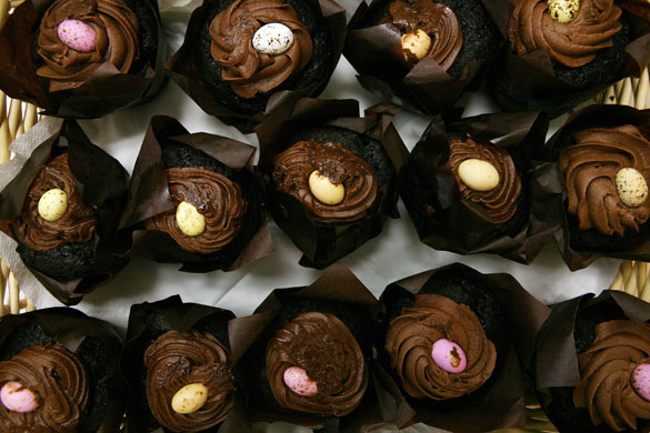 Chocolate tasting: Morrisons chocolate