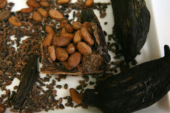 Chocolate tasting: Chocolate making workshop