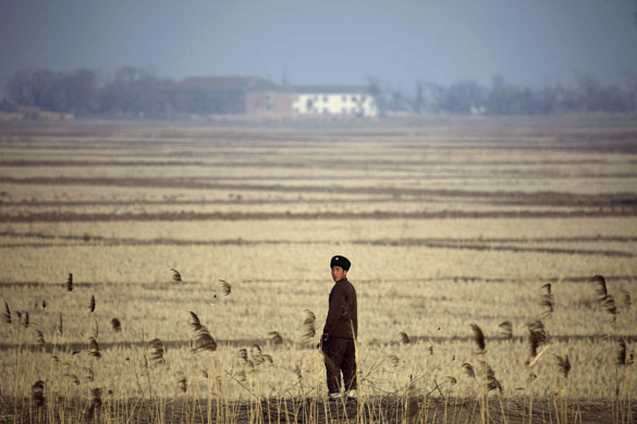 5 April 2009: China: A North Korean soldier patrols the North Korean - Chinese border