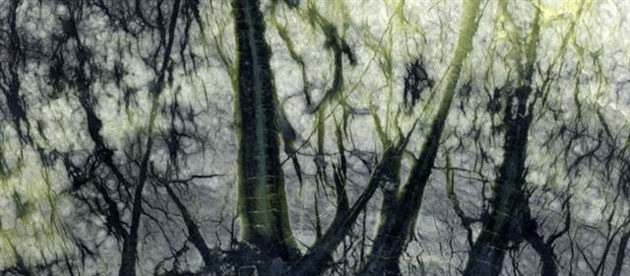 Mineral images: Rock formation art: serpentine