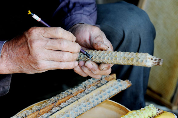 Week in wildlife: Hefei, China: A bee farmer works honey out of a honeycomb