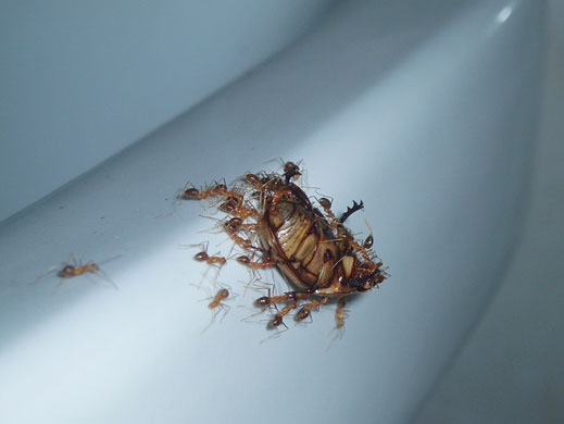 In Pictures: taste: Gemma Knight