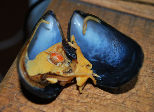 In Pictures: taste: Sarah Keller