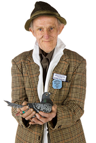 Pigeon Racers: Pigeon Racers