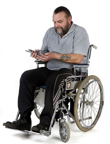 Pigeon Racers: Pigeon Racers