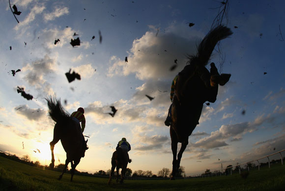24sport: Huntingdon Races