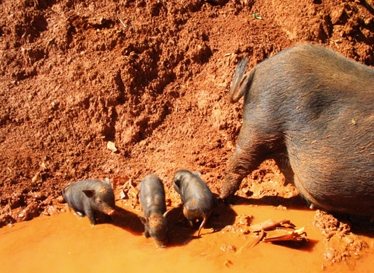 In Pictures: Size: Kate Griffin