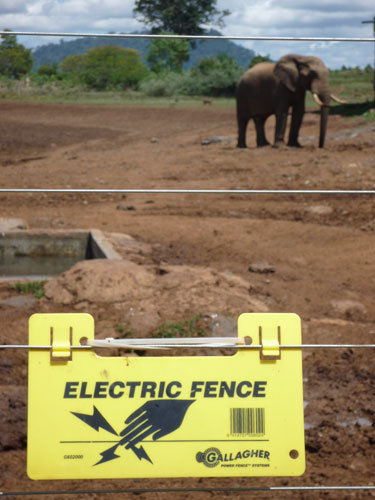 Kenya Aberdare Ranges: The electric fence