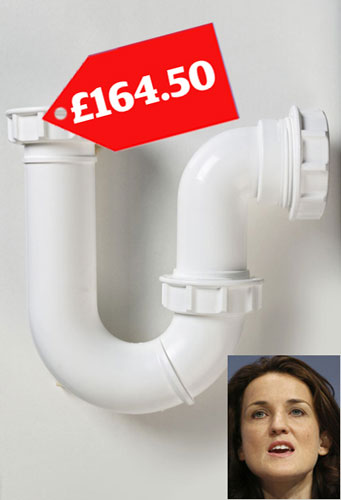 Tory allowances : Theresa Villiers claimed £164.50 to fix a leak in her flat