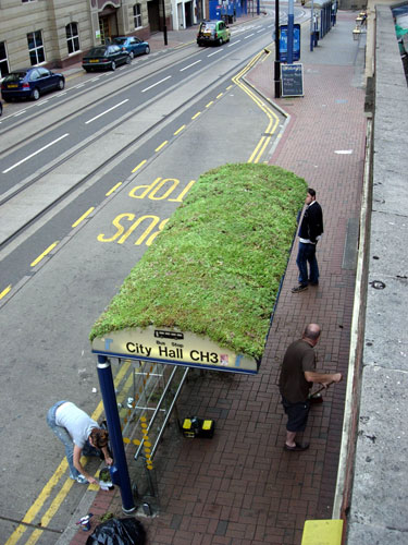 Bus stops: Green bus shelter with grass roof in Sheffield