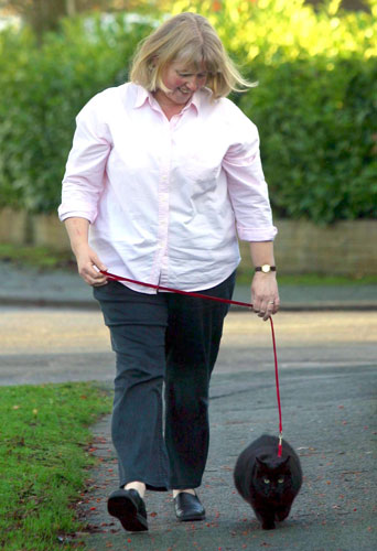 Overweight pets: 2003: Ursula Harris taking Treacle for a walk to lose weight in Cheshire