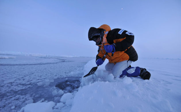 Catlin Arctic Survey: testing ice sheet before crossing