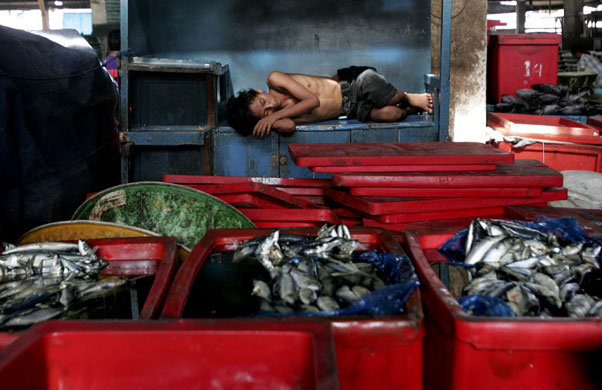 14 May 2009: North Jakarta, Indonesia: A fisherman takes a nap at a fishing port