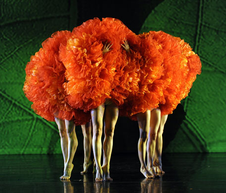 14 May 2009: New York, US: Dancers with the company Momix perform a scene from Botanica
