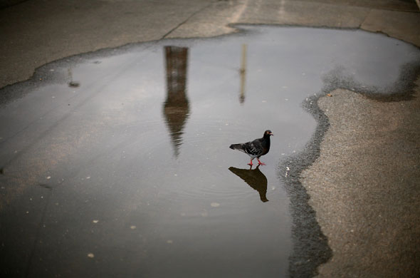 15 May 2009: Blackpool, UK: Blackpool Tower is refected in a puddle